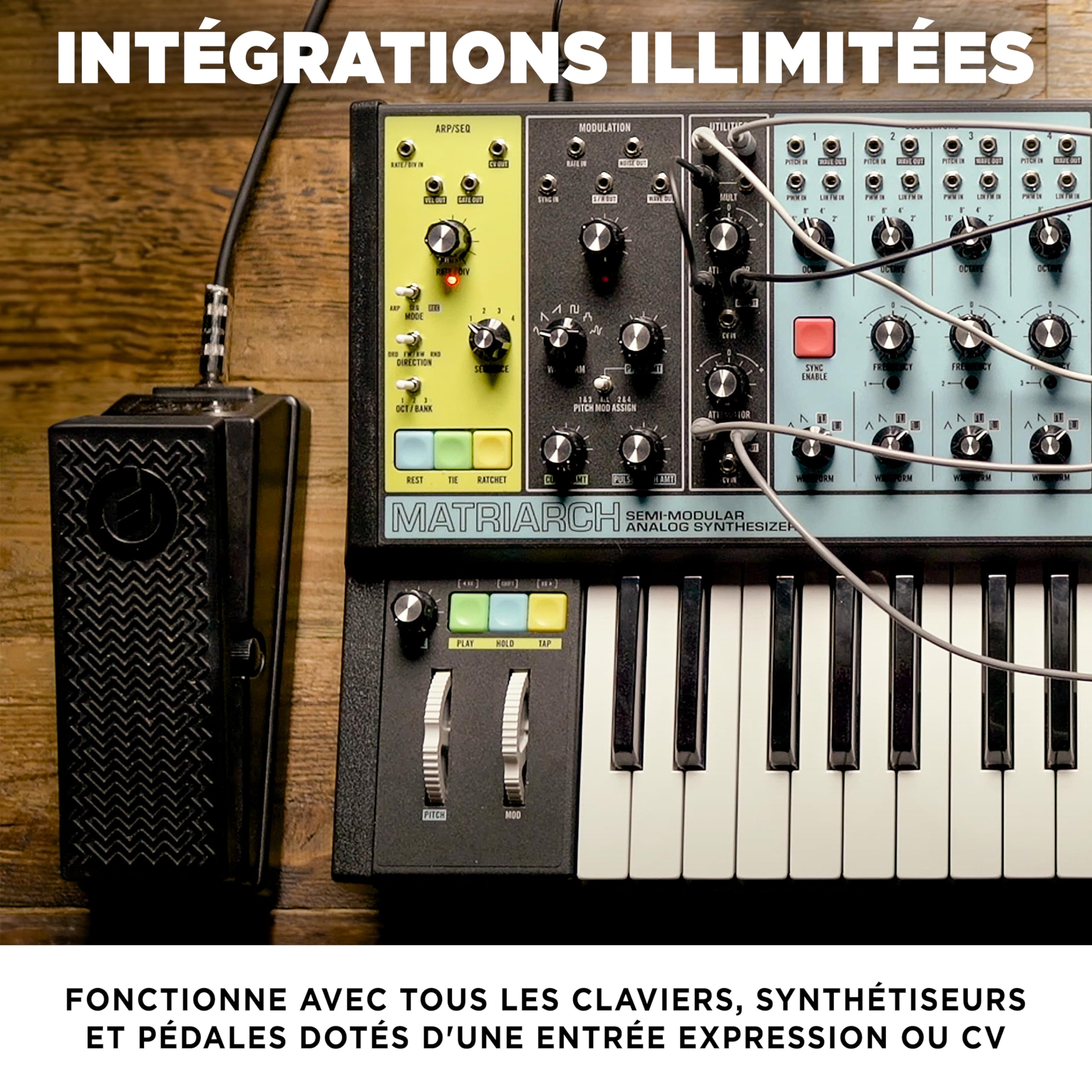moog-ep-3-p-dale-d-expression-universelle image 2