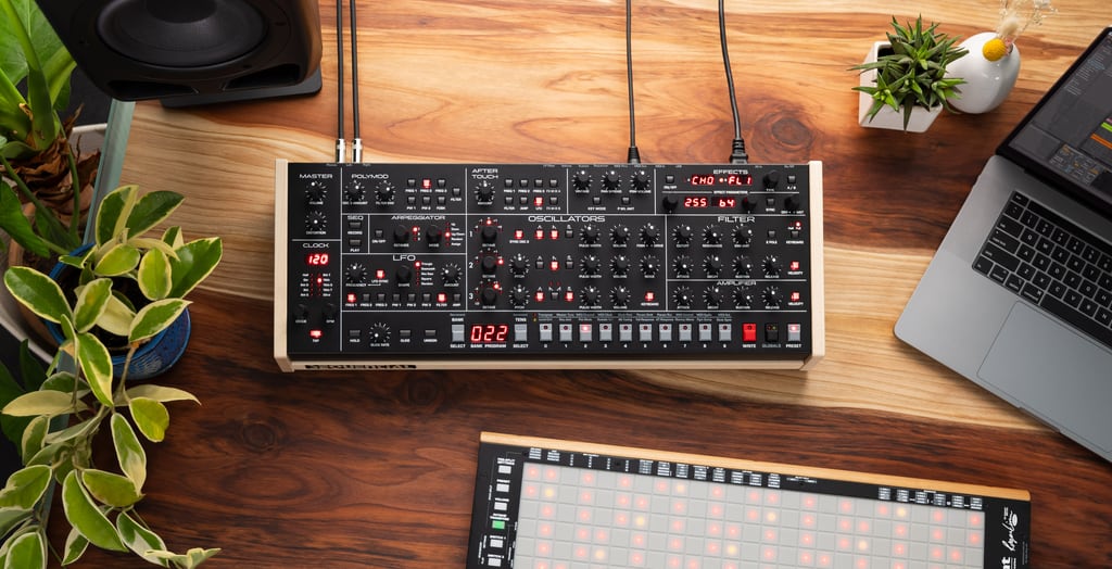 sequential-trigon-6-desktop-module-synth-tiseur-analogique image 7
