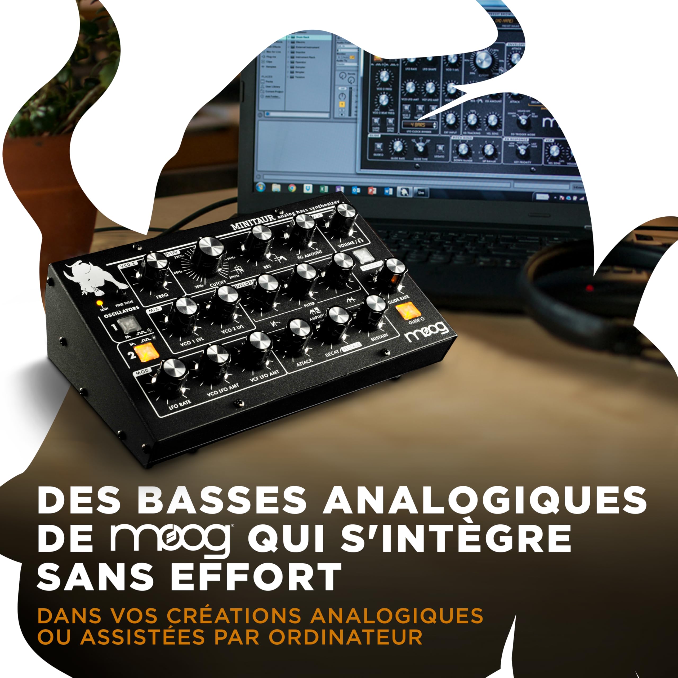moog-minitaur-synth-tiseur-de-basse-analogique image 3