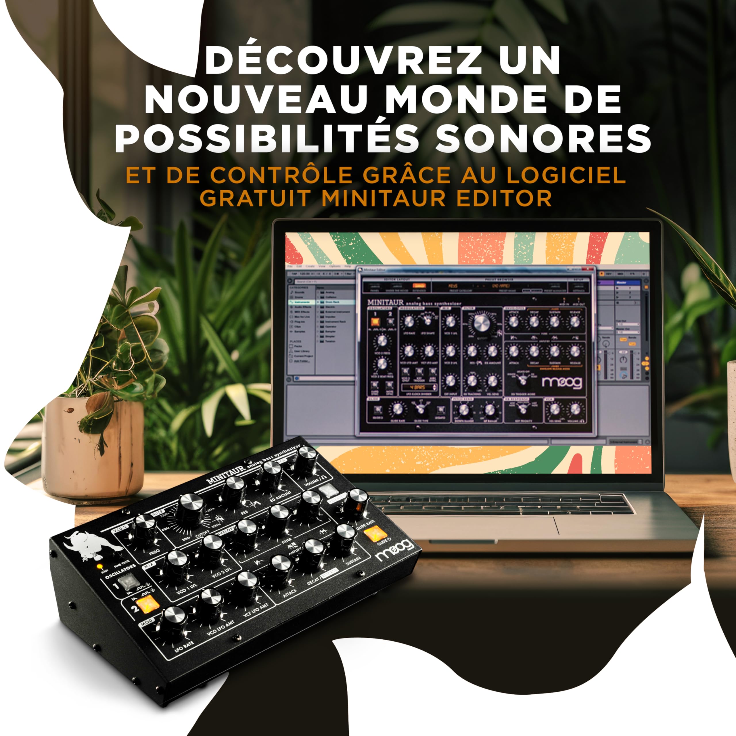 moog-minitaur-synth-tiseur-de-basse-analogique image 5