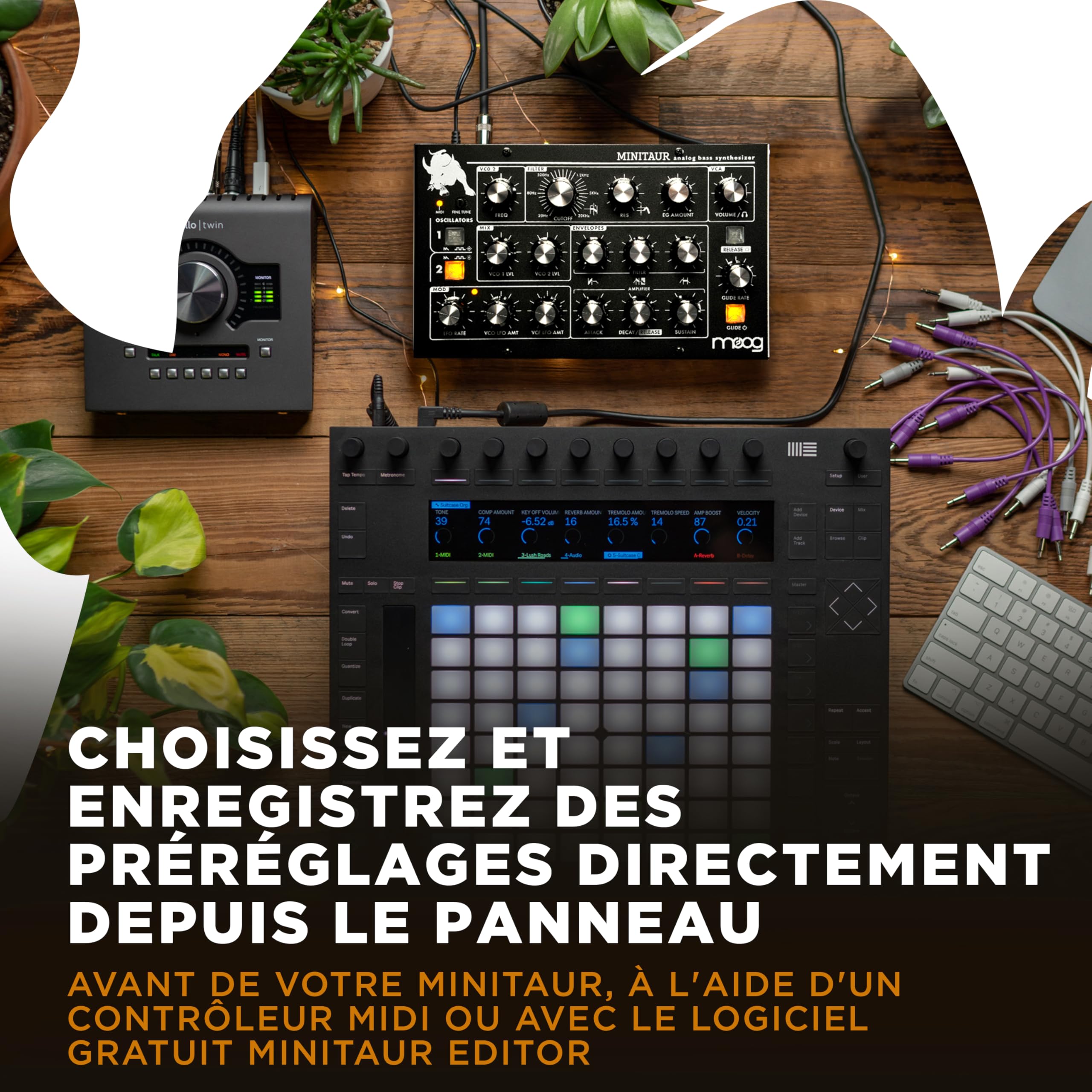 moog-minitaur-synth-tiseur-de-basse-analogique image 6