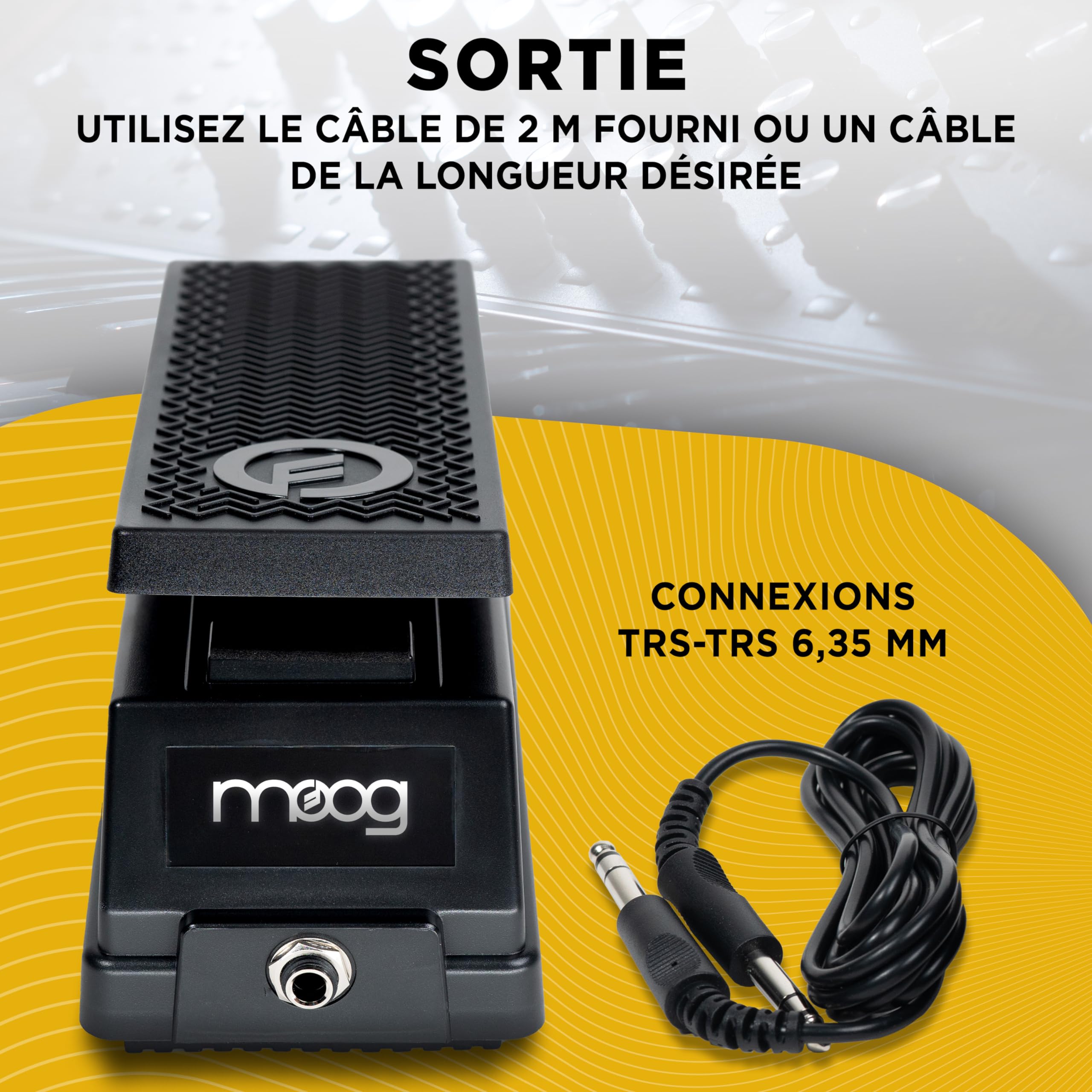 moog-ep-3-p-dale-d-expression-universelle image 6
