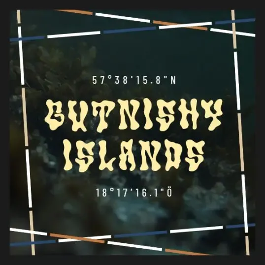 elektron-gutnishy-islands-banque-de-sons-pour-digitakt image 1