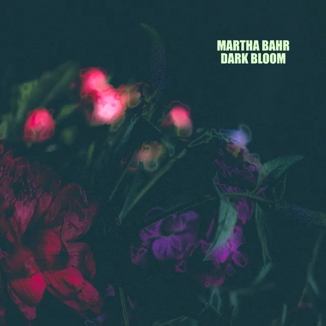 waldorf-music-dark-bloom-by-martha-bahr-soundset-pour-iridium-quantum image 1