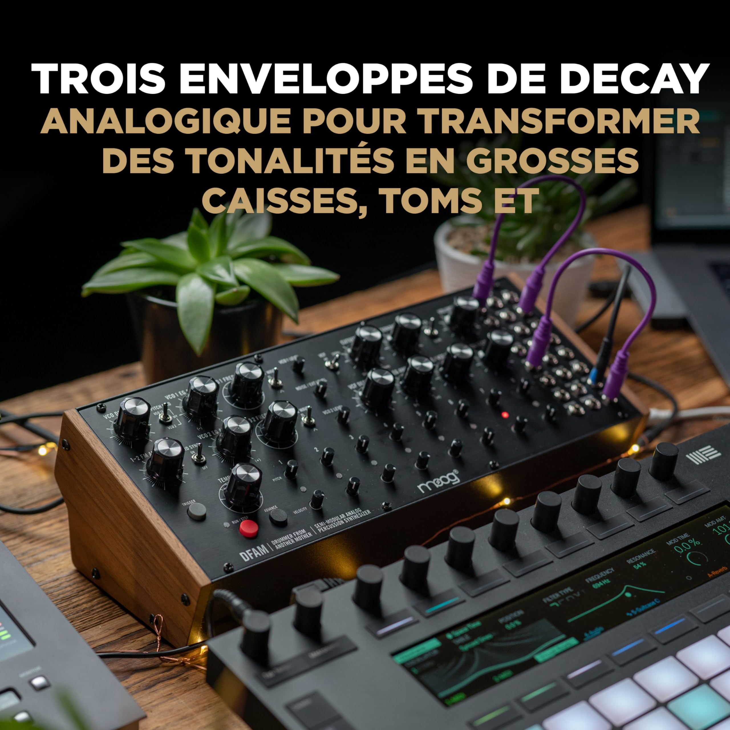 moog-dfam-synth-tiseur-analogique-de-percussion-semi-modulaire image 5