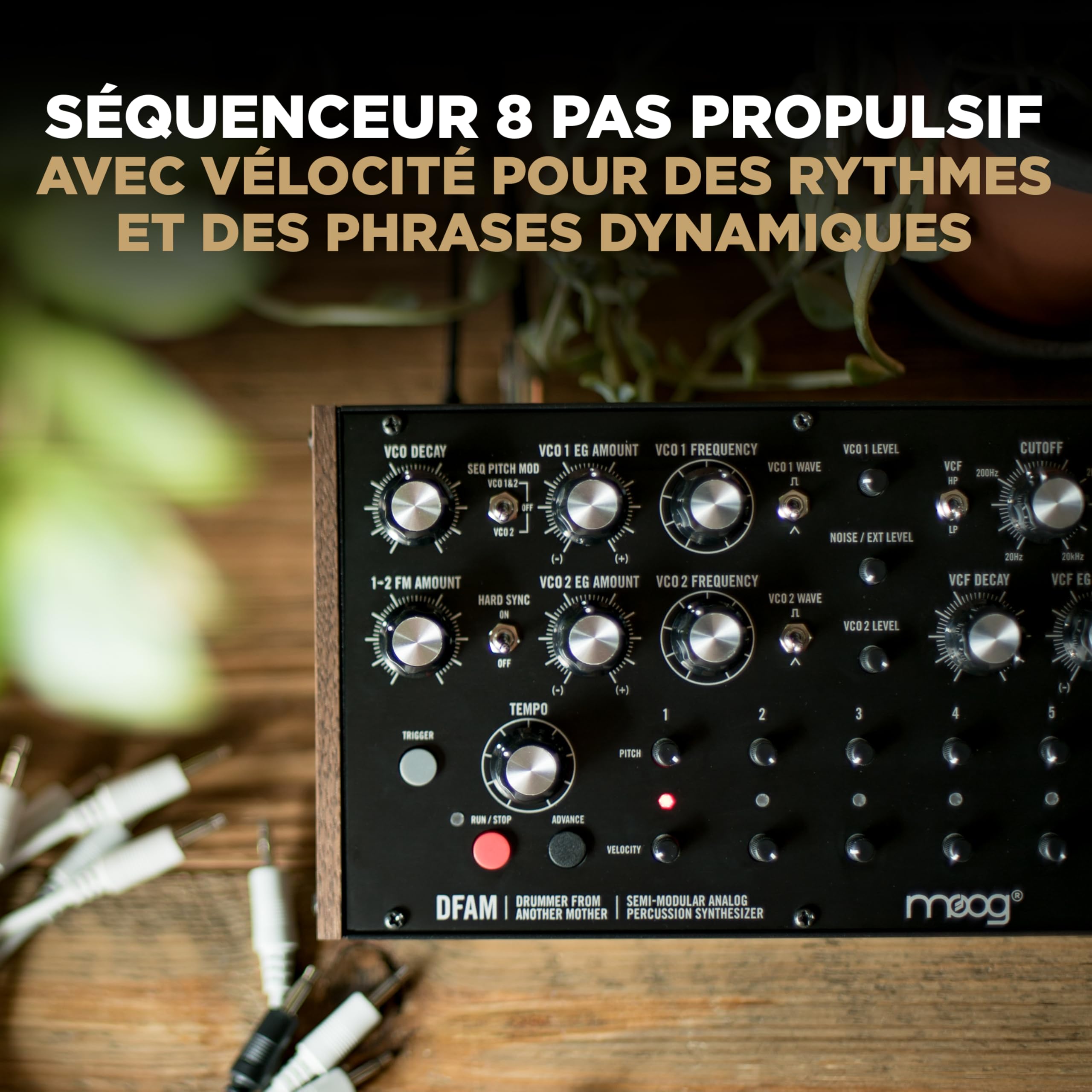 moog-dfam-synth-tiseur-analogique-de-percussion-semi-modulaire image 6