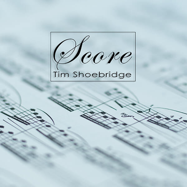 waldorf-music-soundset-tim-shoebridge-score-pour-iridium-quantum image 1