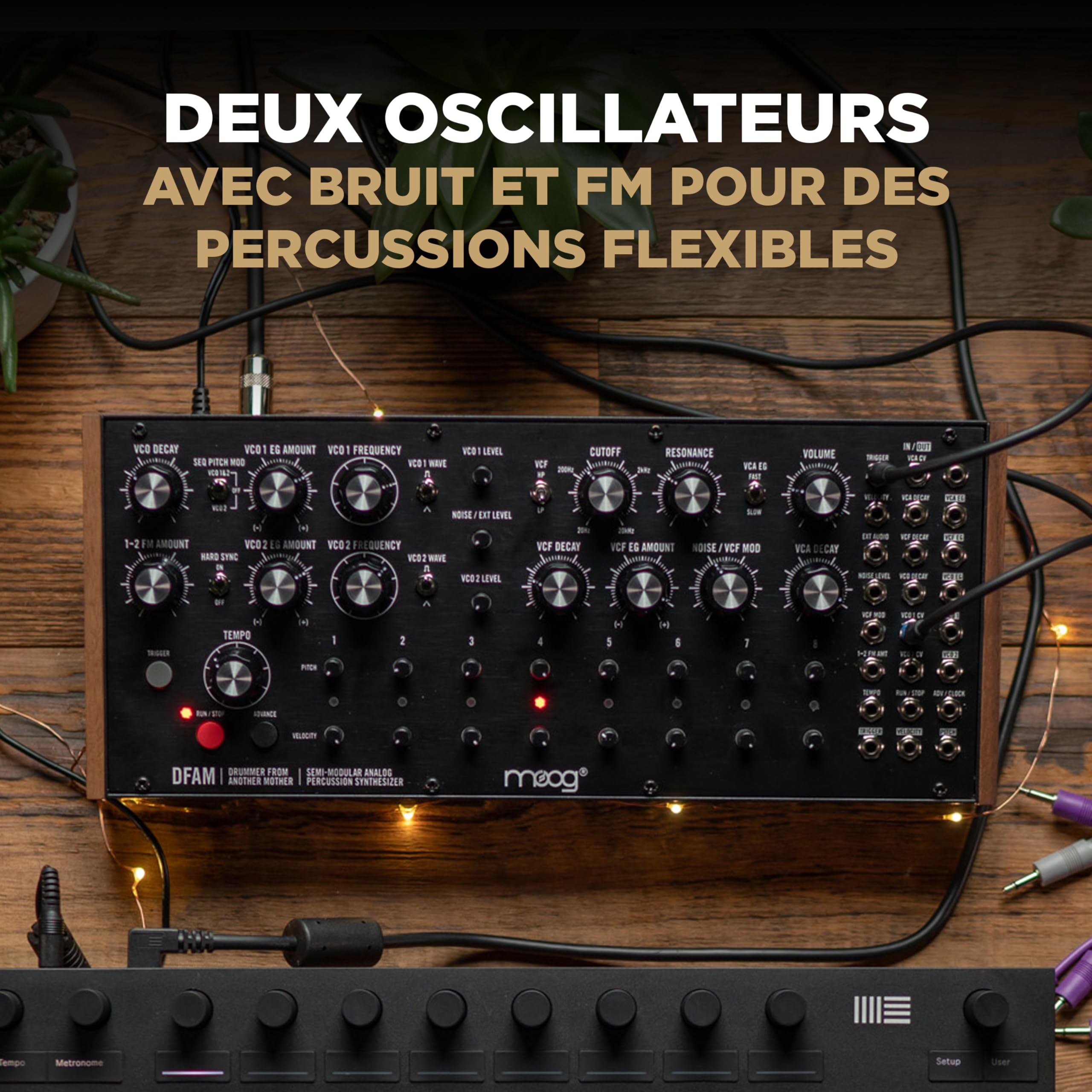 moog-dfam-synth-tiseur-analogique-de-percussion-semi-modulaire image 2
